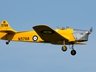 Miles Magister