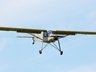 Storch