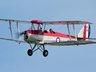 Tiger Moth