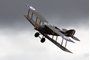 Bristol F2b