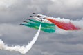 Frecce Tricolori 6484