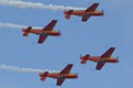 Royal Jordanian Falcons 6756