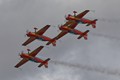 Royal Jordanian Falcons 7832