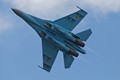 Sukhoi Su-27 Ukraine 4461