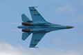 Sukhoi Su-27 Ukraine 4499
