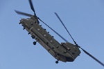 Chinook (RAF) 1481