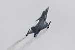 Saab JAS 39 Gripen (Swedish Air Force) 1950