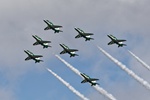 Saudi Hawks 1350