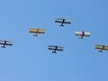 Tiger Moths from Tiger 9 