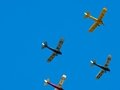Tiger Moths from Tiger 9 