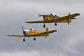 Miles Magister pair 4374