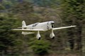 Percival Mew Gull 3732