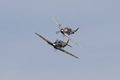 Hurricane and Mustang