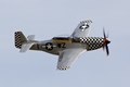 Mustang 'Contrary Mary'