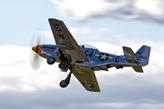Mustang Nooky Booky iv Saturday evening 9892