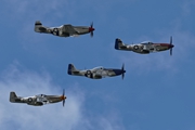 Mustang Quartet 9273