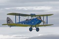 Cirrus Moth